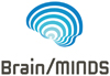 Brain/MINDS